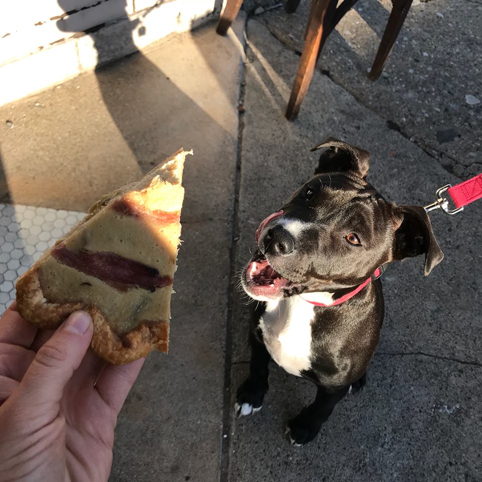 Interview with Detroit’s Sister Pie Powerhouse, LISA LUDWINSKI! Image 7 Interview with Detroit’s Sister Pie Powerhouse, LISA LUDWINSKI! - LisaLudwinski1