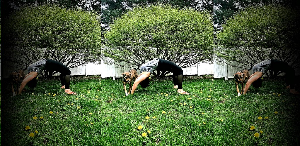 Yoga with Elyse @ Detroit Bookfest!