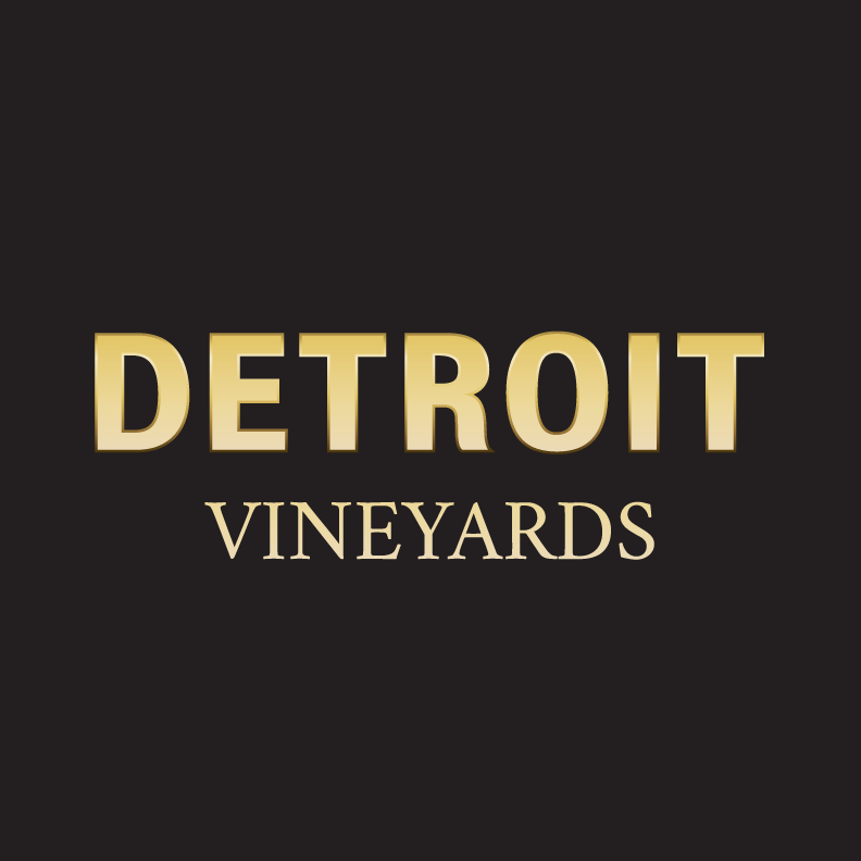Cash Bar Available During Detroit Bookfest 2019 - logo1